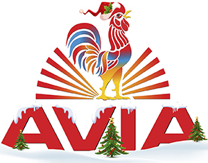 AVIA Beverage Corporation